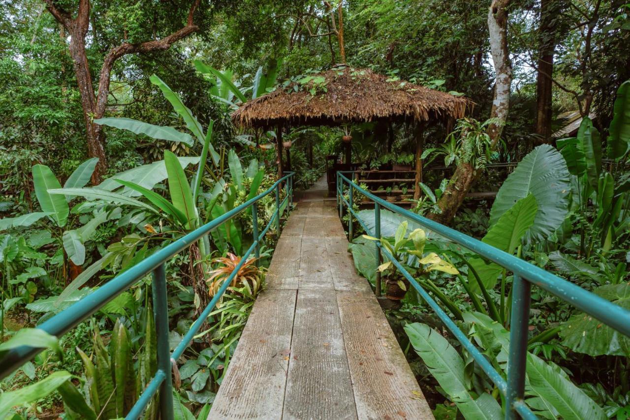 Khao Sok Riverside Cottages Khao Sok National Park Εξωτερικό φωτογραφία