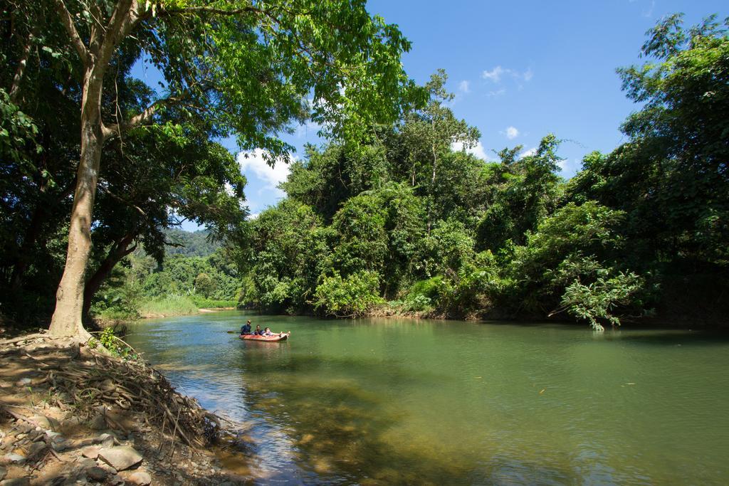 Khao Sok Riverside Cottages Khao Sok National Park Εξωτερικό φωτογραφία